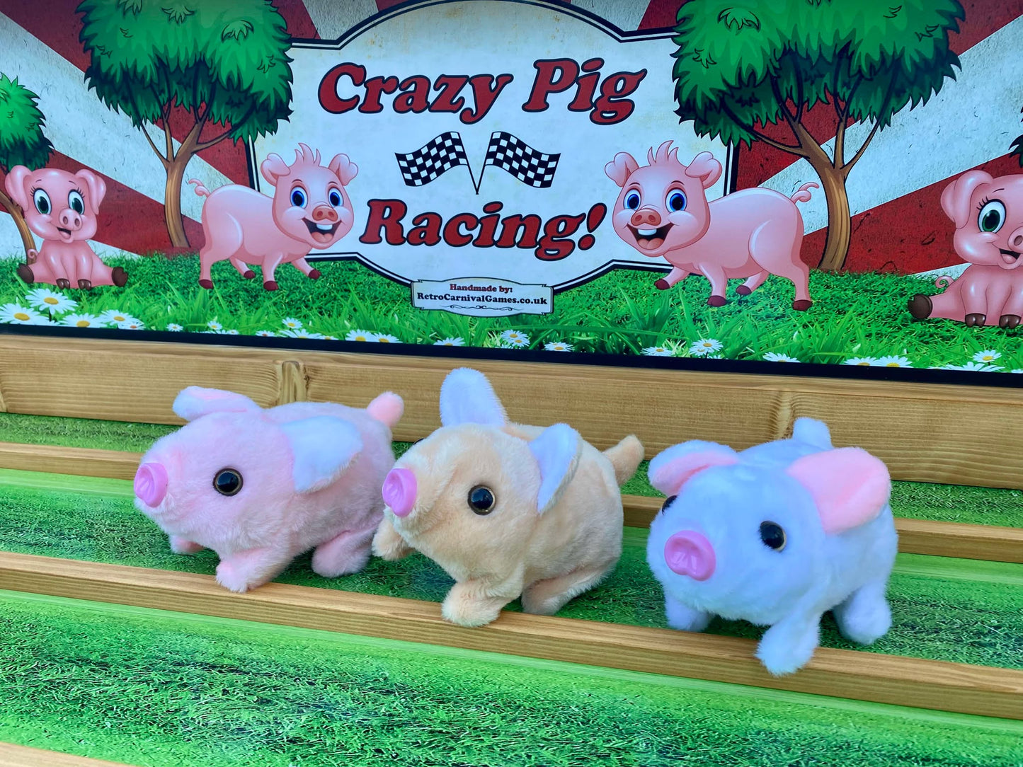 Crazy Pig Racing