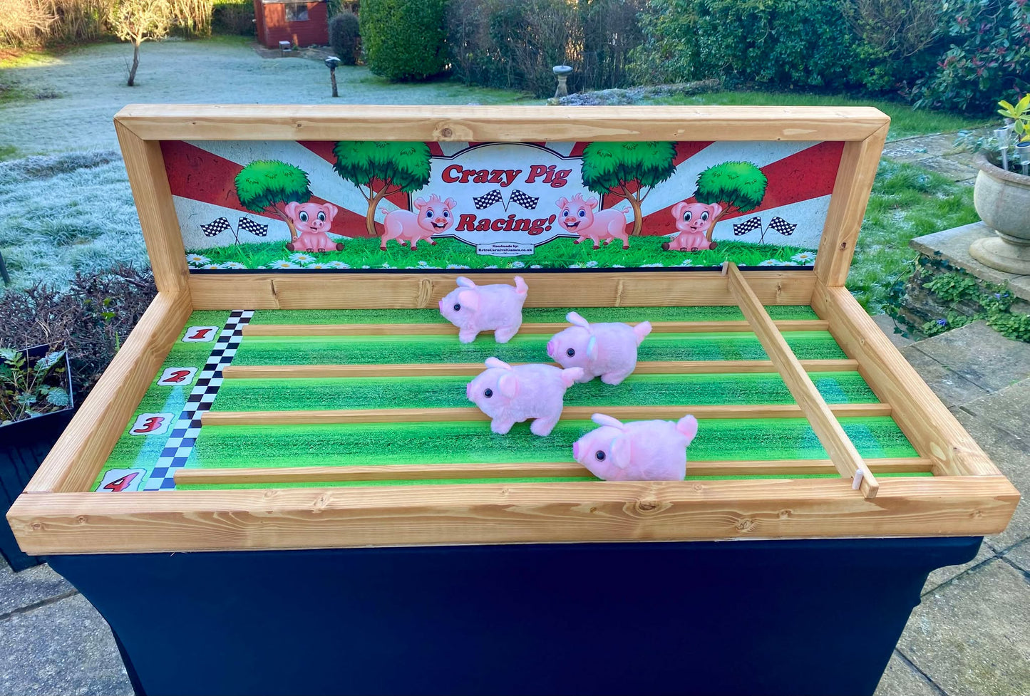 Crazy Pig Racing