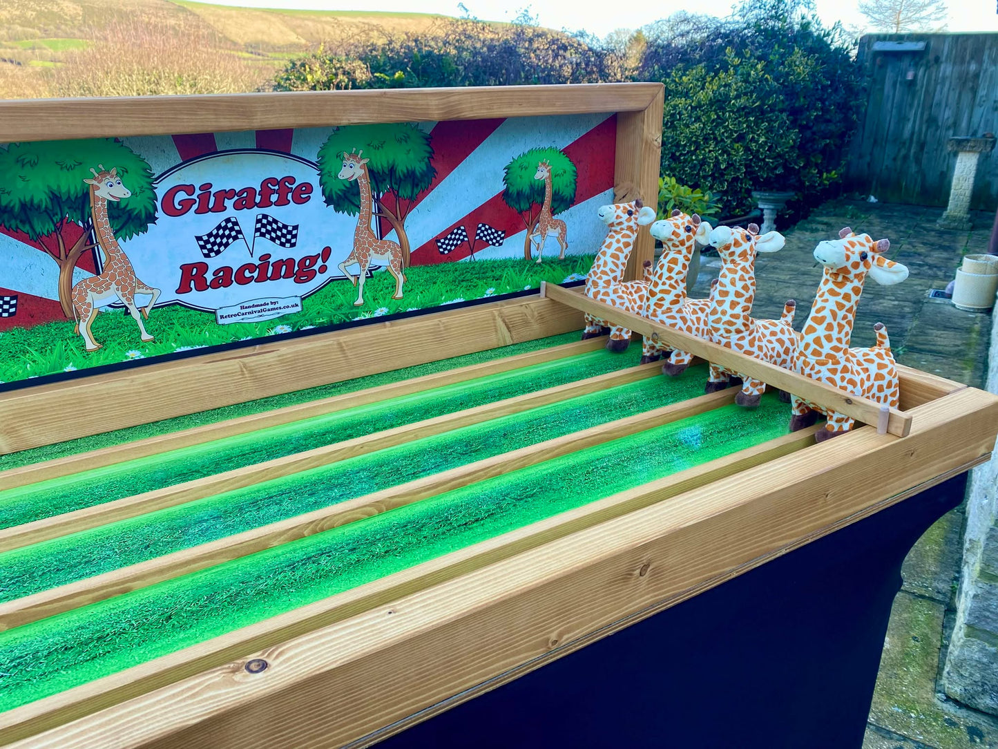 Giraffe Racing