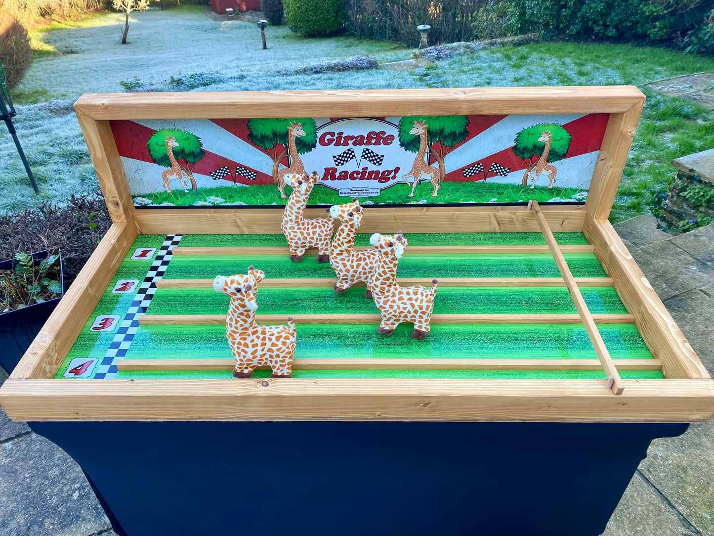 Giraffe Racing