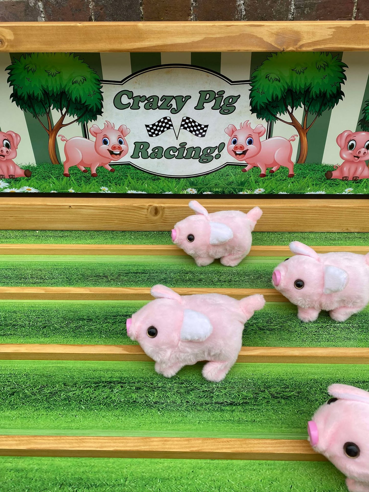 Crazy Pig Racing