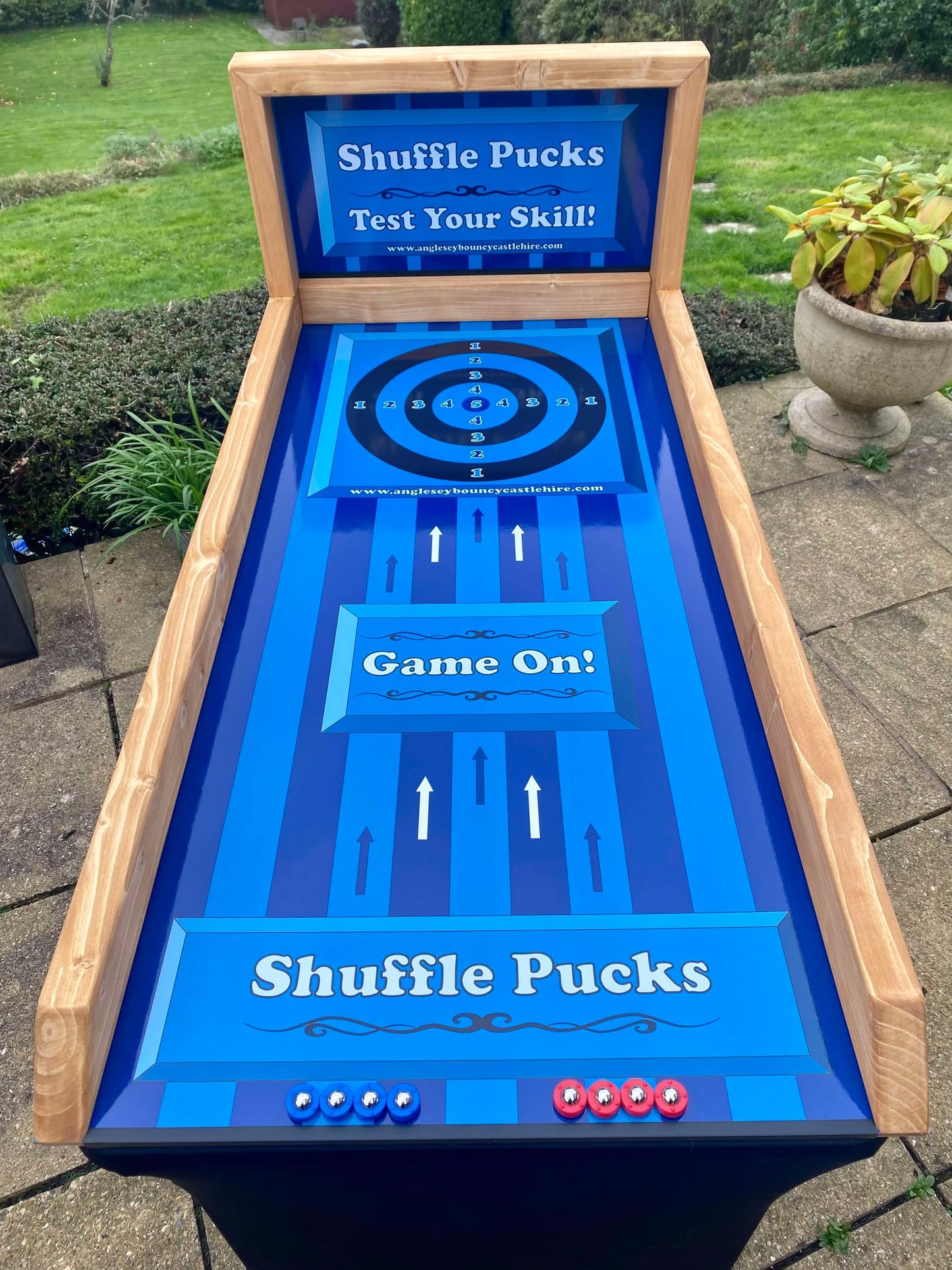 Shuffle Pucks