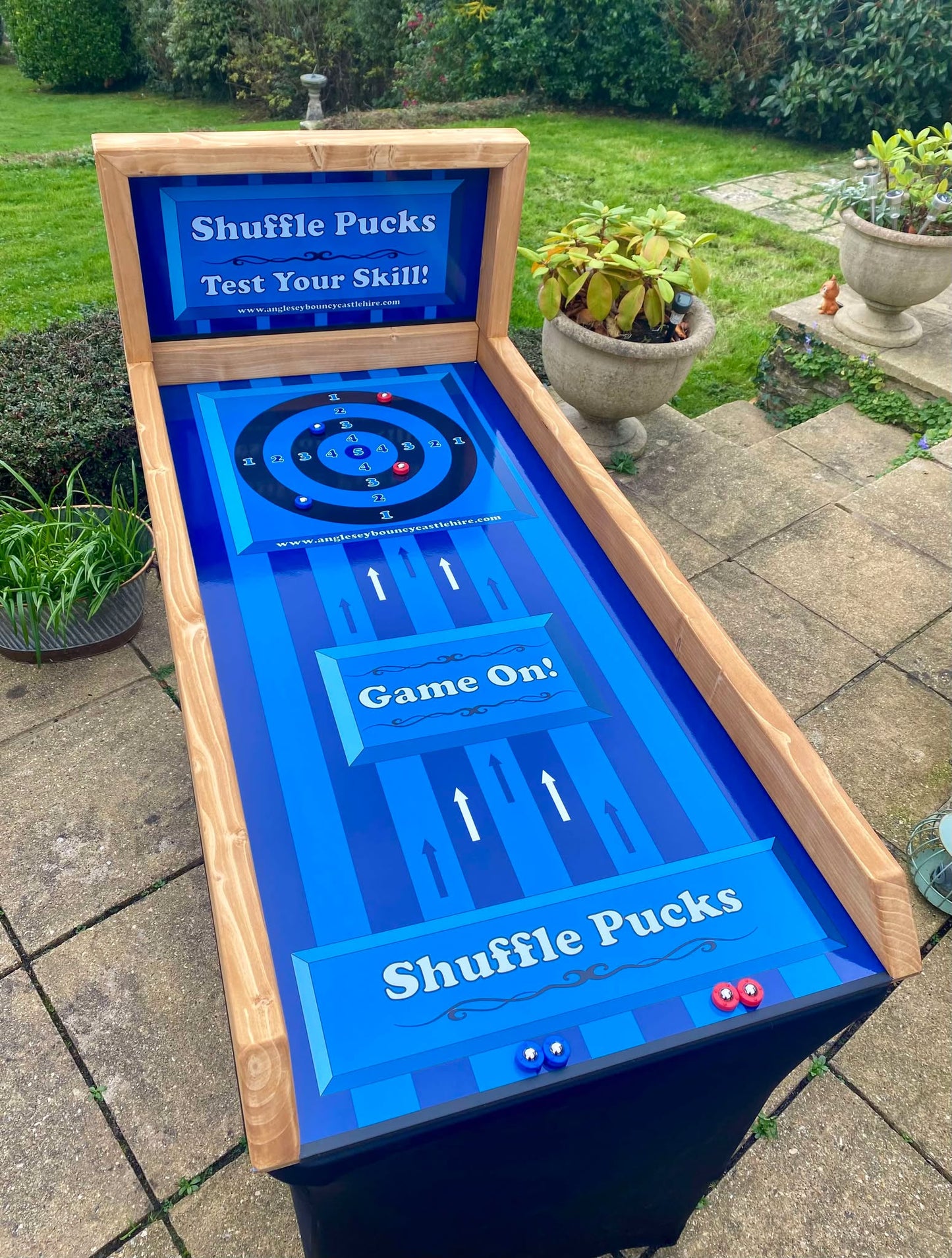 Shuffle Pucks